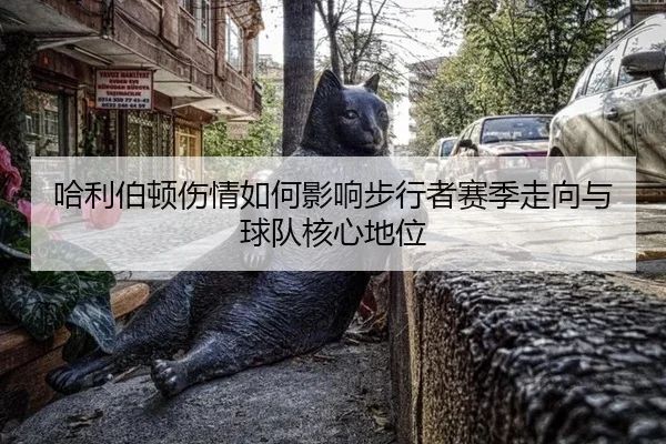 ha-li-bo-dun-shang-qing-ru-he-ying-xiang-bu-xing-zhe-sai-ji-zou-xiang-yu-qiu-dui-he-xin-di-wei-2-394.jpg